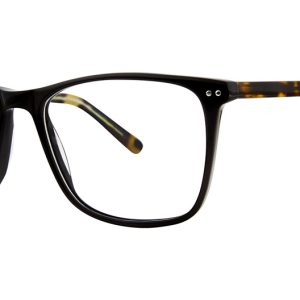 black-tortoise-7