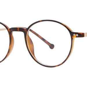 tortoise-gold-3