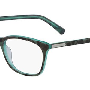 teal-tortoise-turquoise