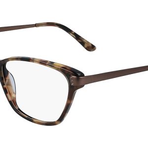 brown-tortoise