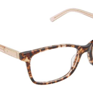 brown-tortoise-sand