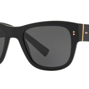DG4338F