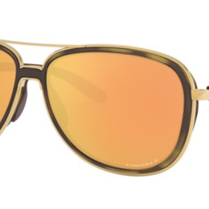 brown-tortoise-gold-3