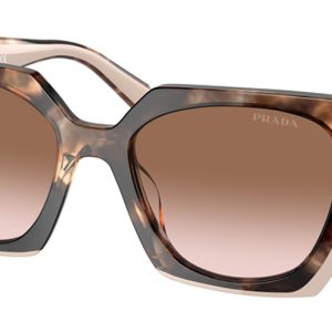 tortoise-caramel-powder