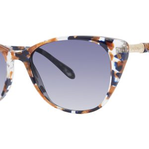 safari-tortoise