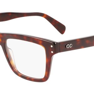 brown-tortoise