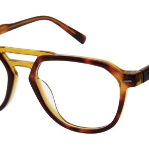 tortoise-olive-3