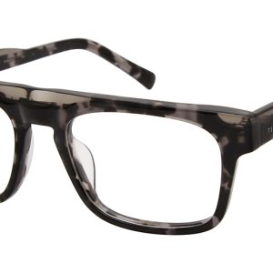 grey-tortoise