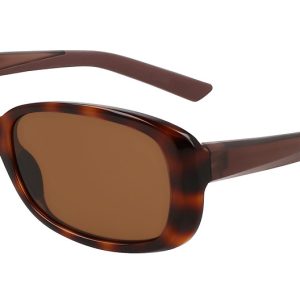 tortoise-brown-5