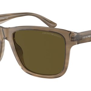 shiny-green-top-brown