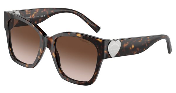TF4216 - Image 5