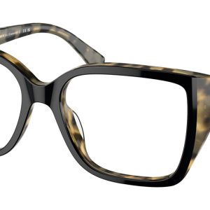 black-amber-tortoise-3