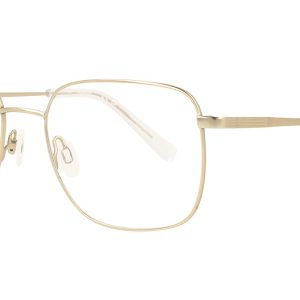 FLEXON H6070