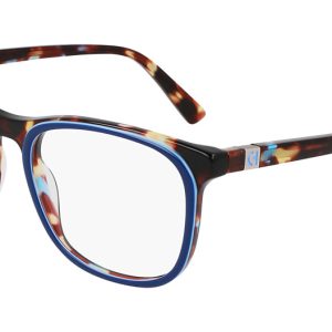 teal-tortoise