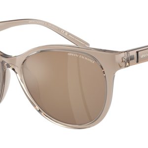 shiny-transparent-brown