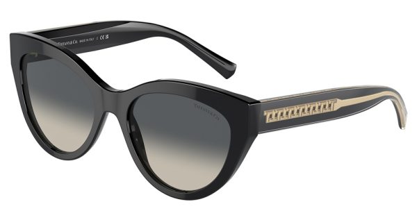 TF4220 - Image 3