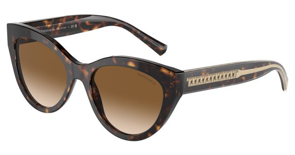 TF4220 - Image 4