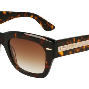 brown-havana-brown-gradient