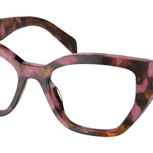 cognac-begonia-tortoise