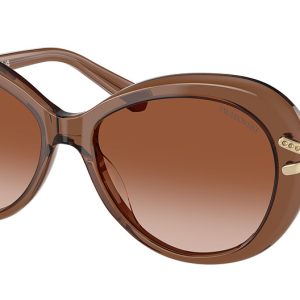 transparent-brown
