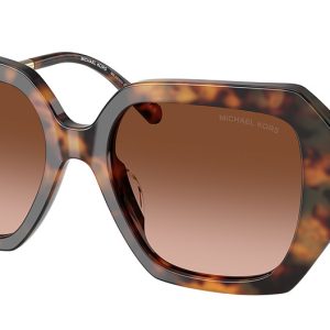 jet-set-tortoise