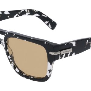 black-tortoise