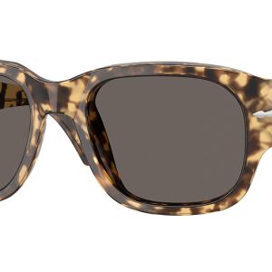 brown-beige-tortoise-3