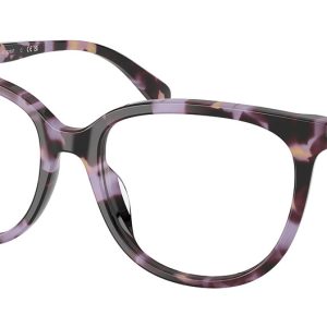 purple-tortoise