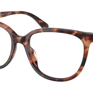 peach-tortoise-3