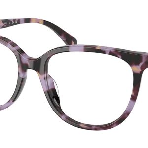 purple-tortoise
