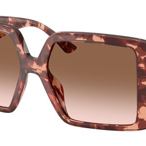 pink-tortoise