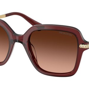transparent-burgundy