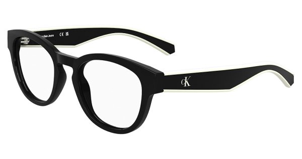 CKJ25303