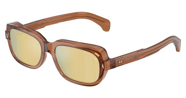 ME6008F SUNTRAP - Image 4