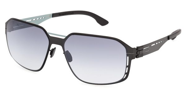 IA0009